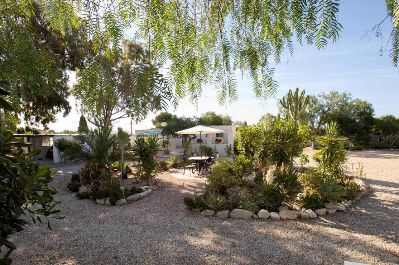 Apartment Costa Blanca Mutxamel Exteriör bild